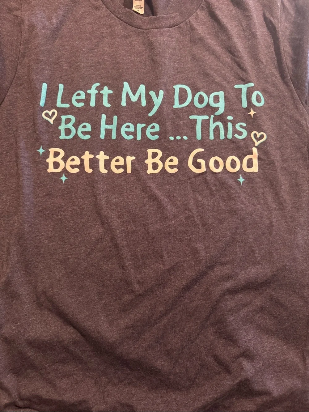 Bella Canvas Tee with Teal and Cream Text. Never been worn.